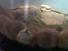 -常州海昌海洋探索馆