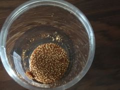 -维利康(江宁义乌店)