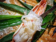 -加奈日本料理