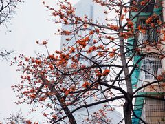 -烈士陵园(地铁站)