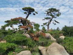 -罗红摄影艺术馆