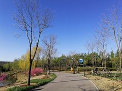 -东郊湿地公园