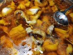 蜀龙阁水煮鱼-雲蜀龙阁·金牌水煮鱼(方庄店)