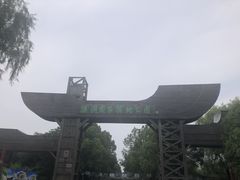 -溱湖国家湿地公园