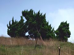 -燕儿岛山公园
