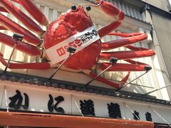 -蟹道乐(道顿堀本店)