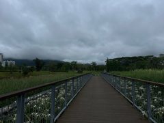 -坪山湿地公园