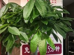 -裕和堂中医推拿艾灸(太古汇臻品店)