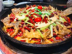 -老板恋上鱼(恒隆广场店)