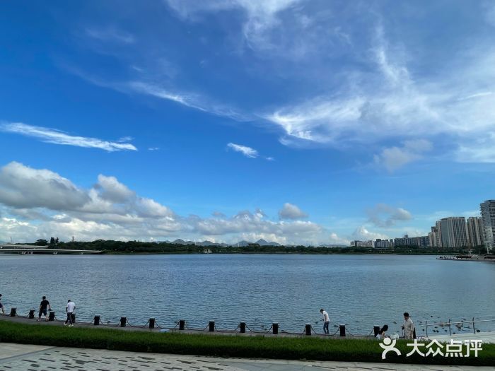 深圳人才公园图片