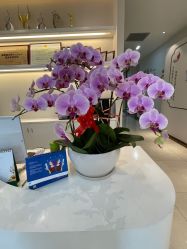 -丽美妍医疗美容·皮秒·立体分层抗衰