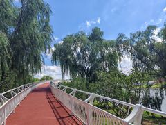 -羊亭河湿地公园