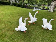 -宁波九龙湖开元度假村