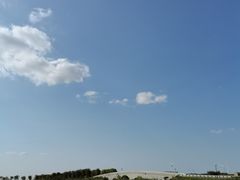 -莲花岛景区