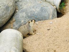 -泉州海丝野生动物世界