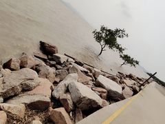 -深圳湾公园(南山区)