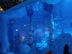 -成都浩海立方海洋公园