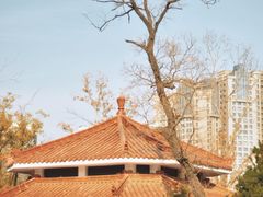-渭滨公园