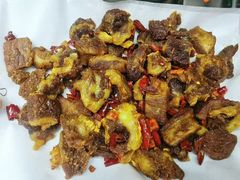 -高新活力汇Vitality