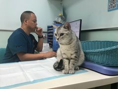 诊室-纳吉亚猫专科动物医院博雅分院