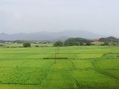 -赣州西站