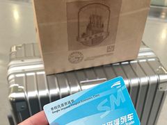 -龙阳路磁悬浮列车总站-停车场