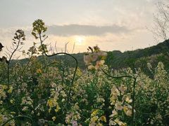 -苏州上方山国家森林公园