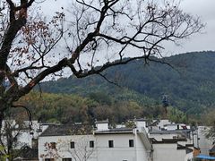 -塔川景区