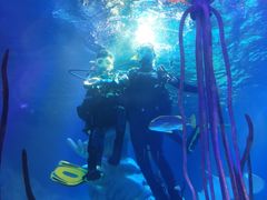 -沈阳海洋探索中心