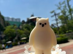 -上海海昌海洋公园