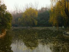 -西安市长乐公园