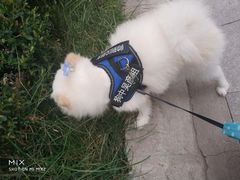 -芭比堂动物医院·犬猫全科·异宠专科(雁塔分院)