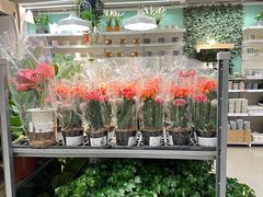 -宜家家居(四元桥商场店)