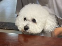 -乖乖宠物医院·猫科·骨科·24小时(云岗分院)