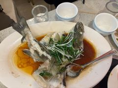 -冯姐生蚝(长隆横琴店)