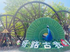 -呀路古热带植物园