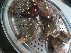 -海岸风情蒸汽海鲜自助餐厅(家宴金手勺店)