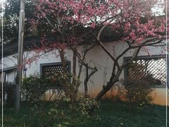 -杭州西湖柳莺里酒店·闻莺厅