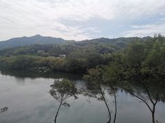 -水墨汀溪风景区