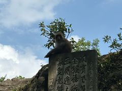-黔灵山公园