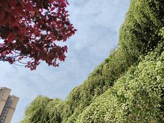 -府河摄影公园