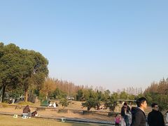 -上海长兴岛郊野公园