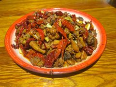 -柴窝堡22号辣子鸡·传承新疆菜