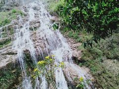 -华蓥山天意谷景区