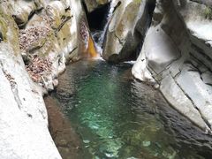 -黑河国家森林公园