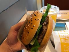 -麦当劳(庐山南路店)