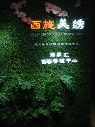 点击看大图 -西施无菌半永久纹绣眉眼影唇轻增发纹发际线