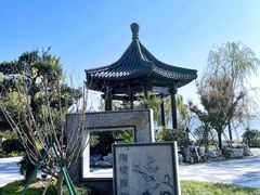 -晓琦农家菜馆·地道农家菜