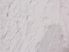 -绍兴启迪乔波冰雪世界