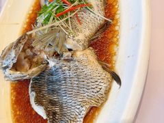 -骏莱海鲜鱼港(五角场店)